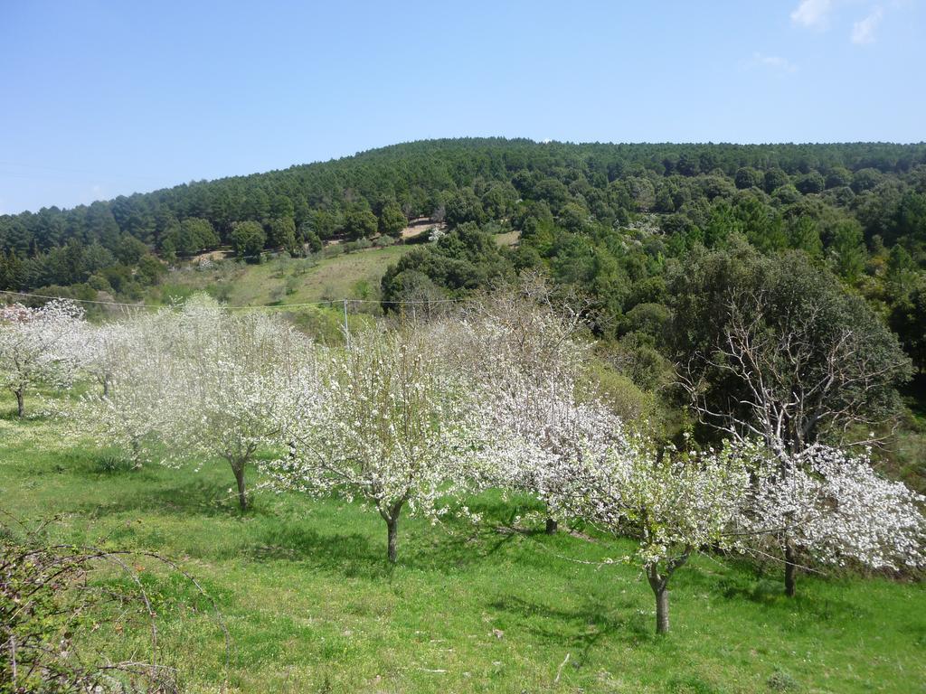 Agriturismo Ticci Seulo Bagian luar foto