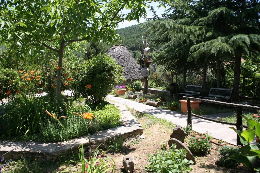 Agriturismo Ticci Seulo Bagian luar foto