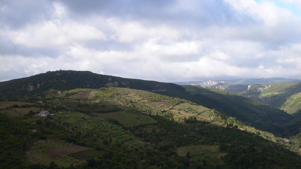 Agriturismo Ticci Seulo Bagian luar foto