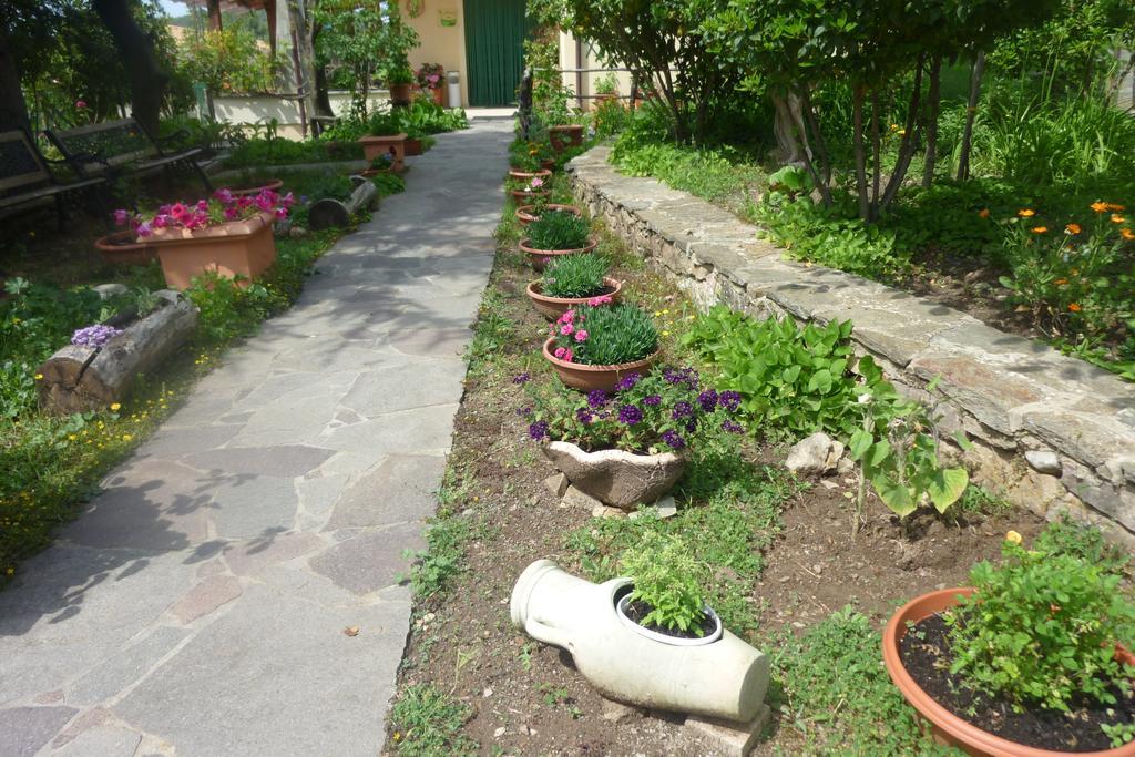 Agriturismo Ticci Seulo Bagian luar foto