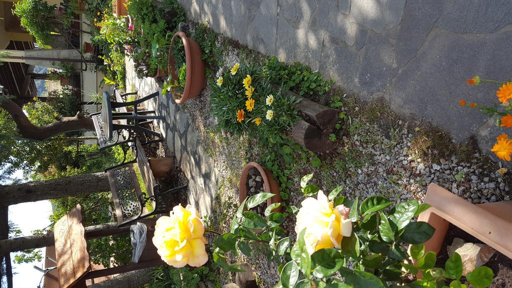 Agriturismo Ticci Seulo Bagian luar foto